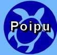 Local Poipu Info