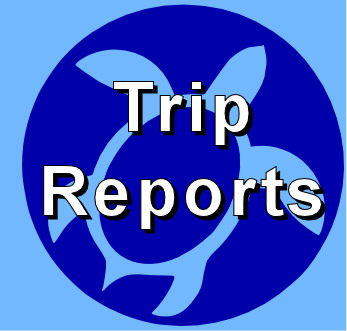 Trip Reports
